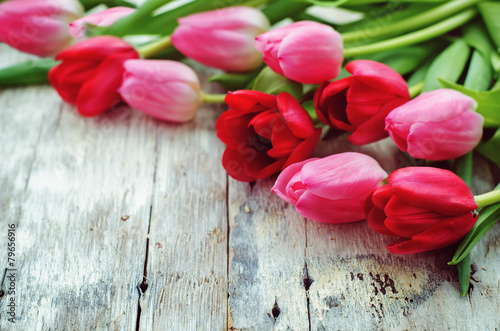 red and pink tulips