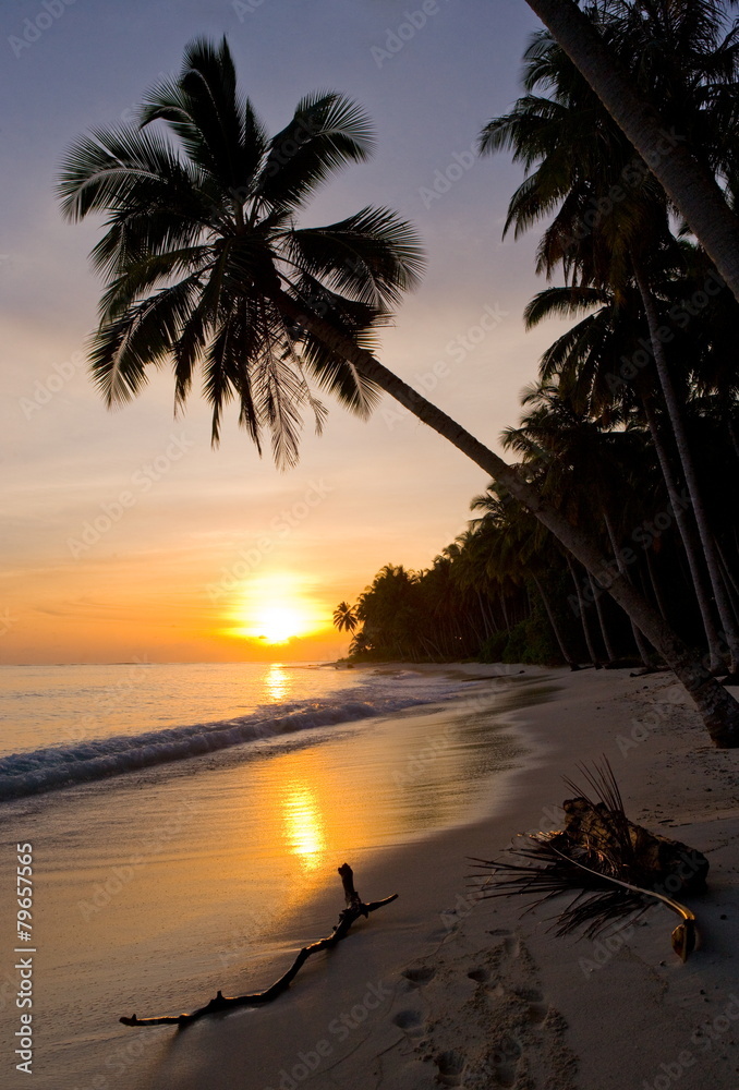 The beach of a tropical island at dawn