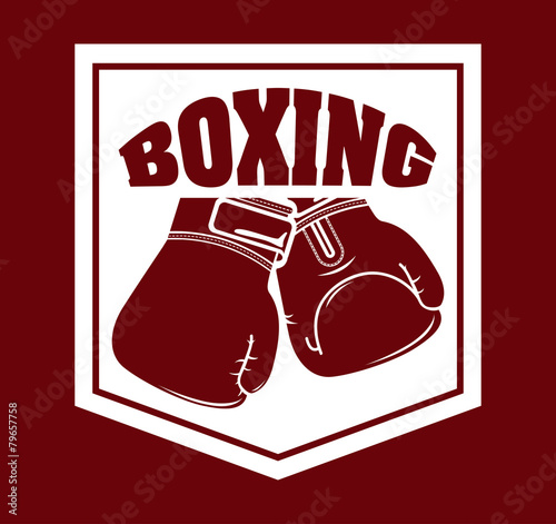 boxing sport