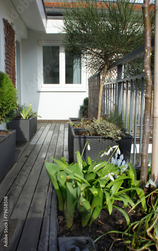 Beautiful modern terrace with snowdrops