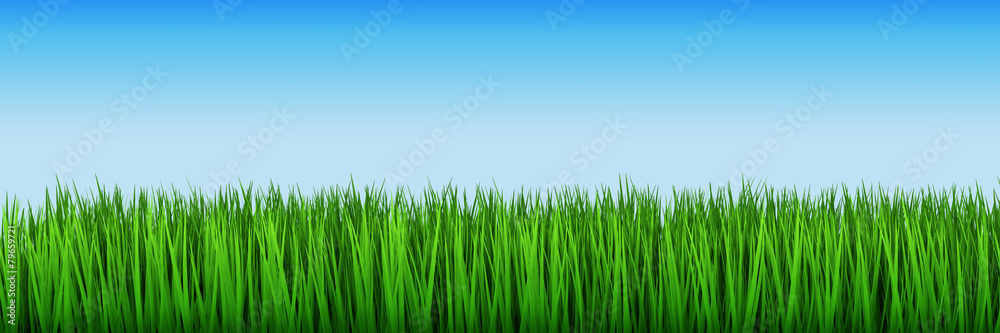 grüne Wiese himmel freigestellt grüne Wiese himmel freigestellt