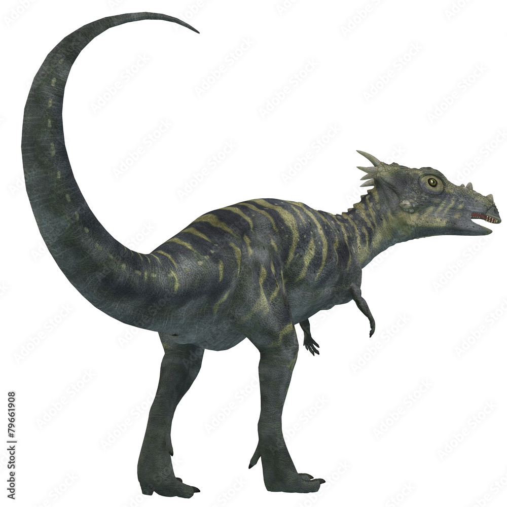 Fototapeta premium Dinozaur Dracorex na białym tle