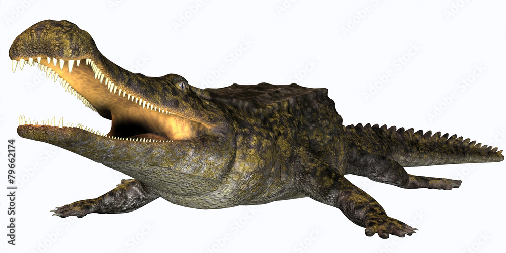 Fototapeta premium Sarcosuchus Reptile
