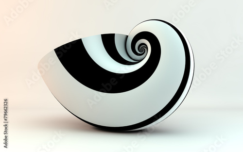 golden spiral shell stripes