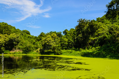 waste water treatment plant