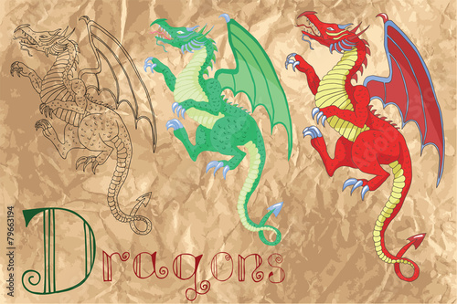 Set with medieval dragons on paper background