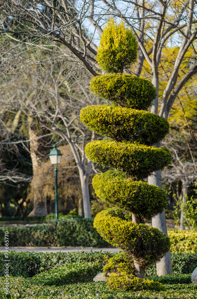 Topiary Topiary