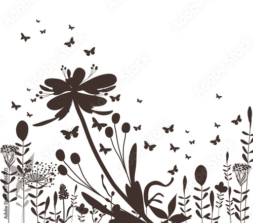floral silhouette and butterflies black
