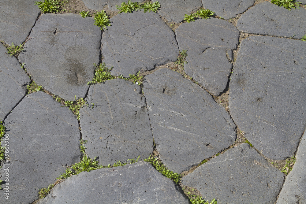 Obraz premium Naturpflasterstraße