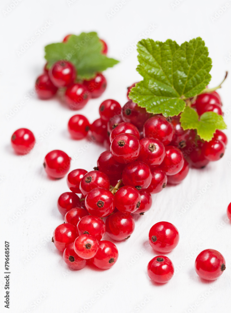Red currant super food on white background Red currant super food on white background