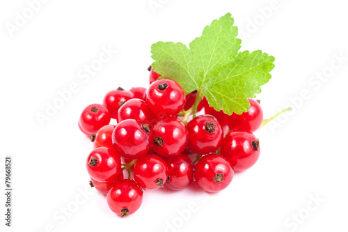 Red currant superfood isolated white background