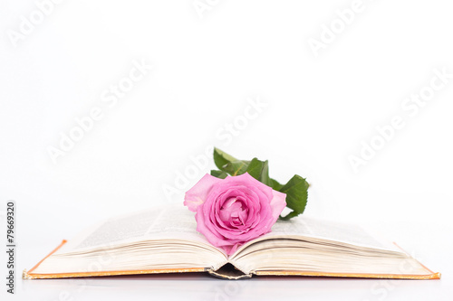 isolated open book with pink rose