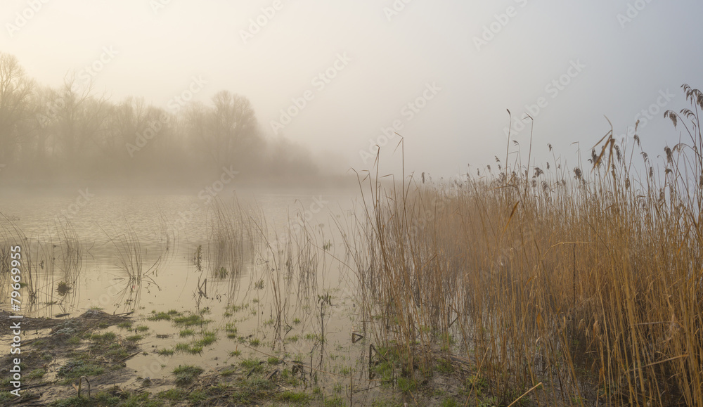 Misty shore of a lake at sunrise in winter