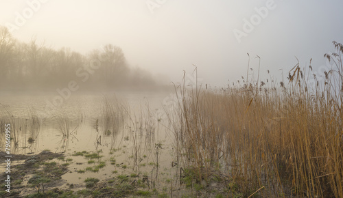 Misty shore of a lake at sunrise in winter