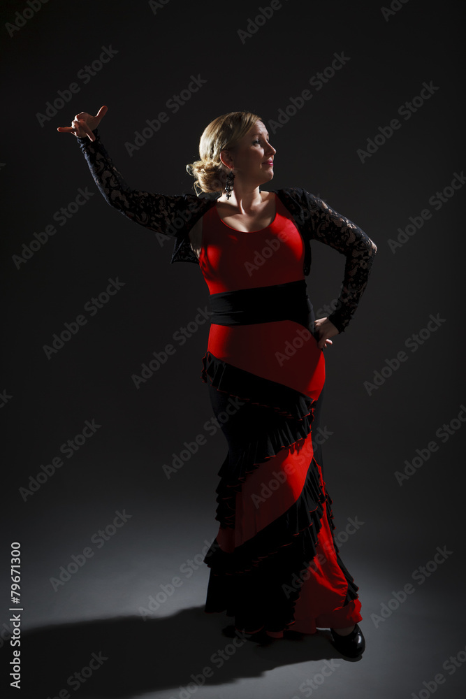 Flamenco Dancer