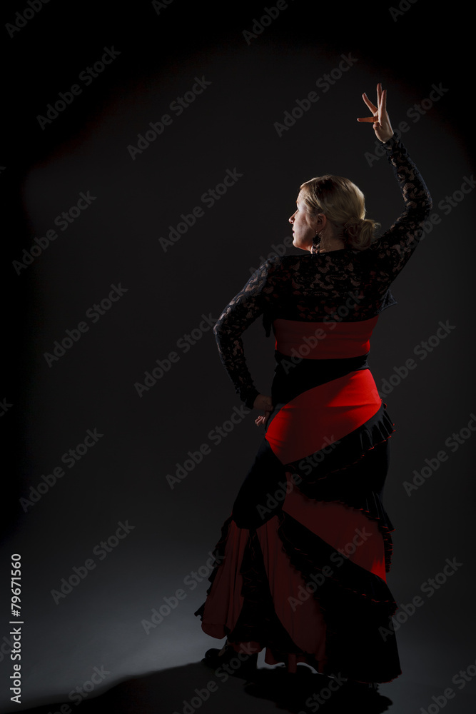 Flamenco Dancer Flamenco Dancer