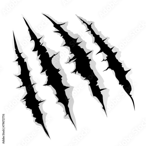Claws scratches on white background