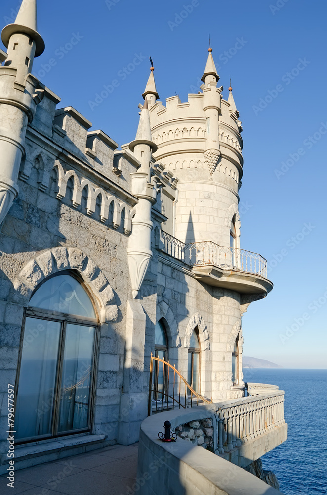 Fototapeta premium Swallow's nest