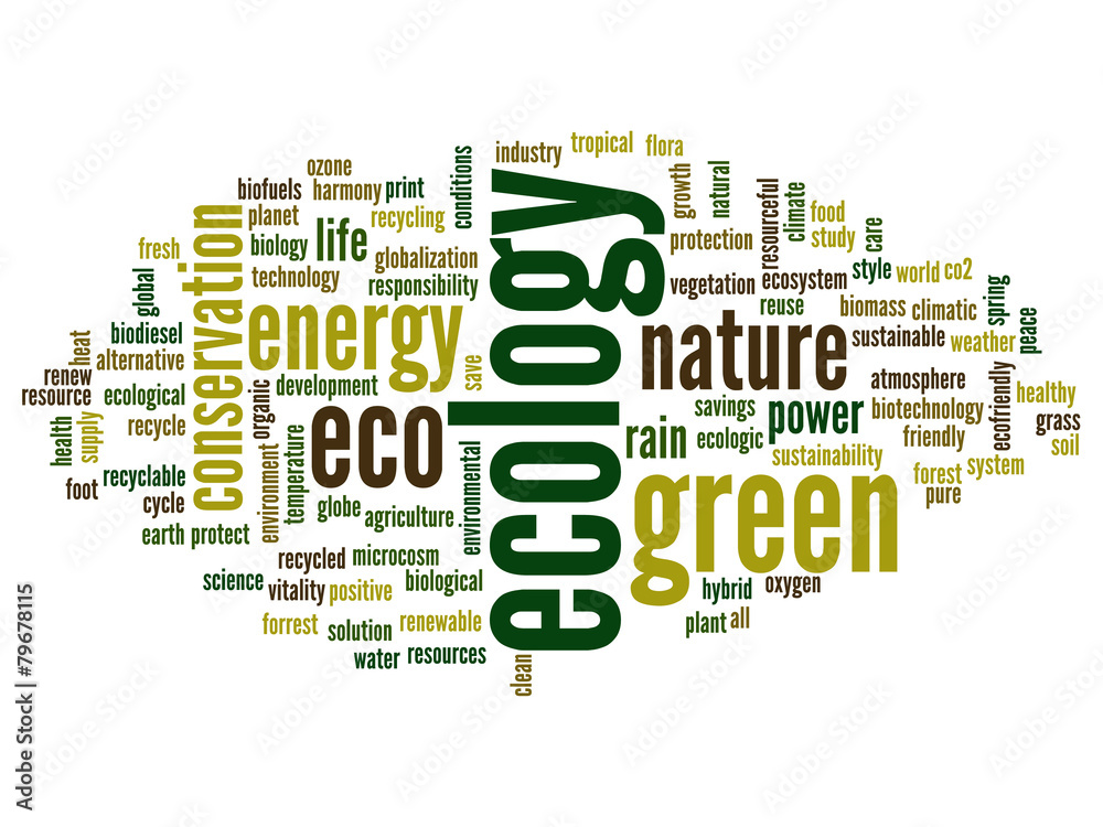 Conceptual ecology word cloud Conceptual ecology word cloud