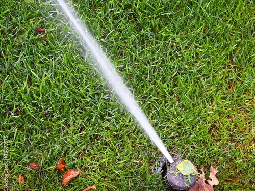 Garden irrigation - working sprinkler