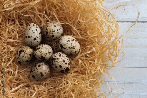 Quail eggs in the nest