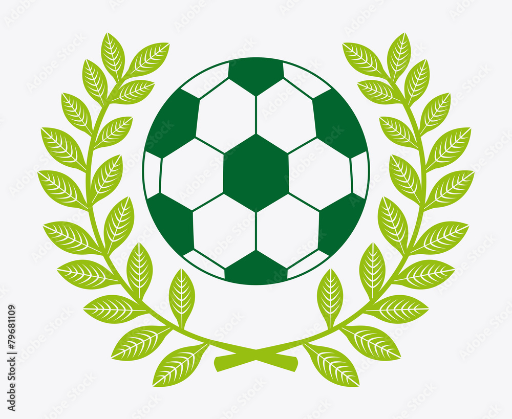 Obraz premium soccer sport