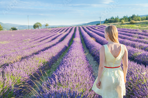 Woman looking at lavender fields