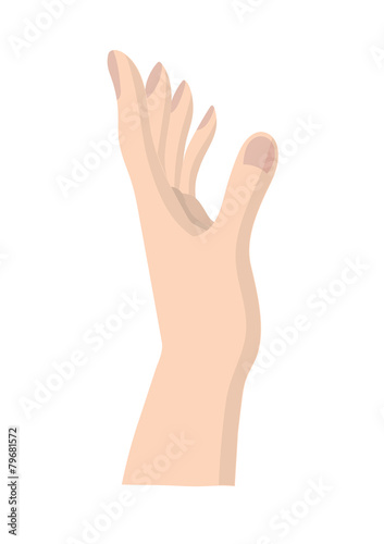 beautiful hand present gesture vector