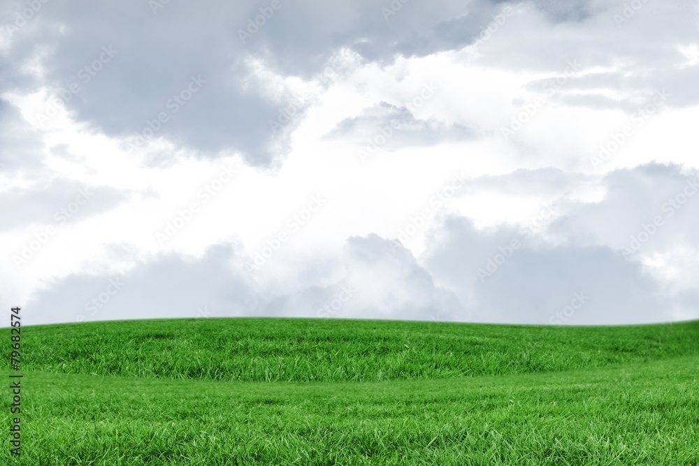 Obraz premium A green Field and sky
