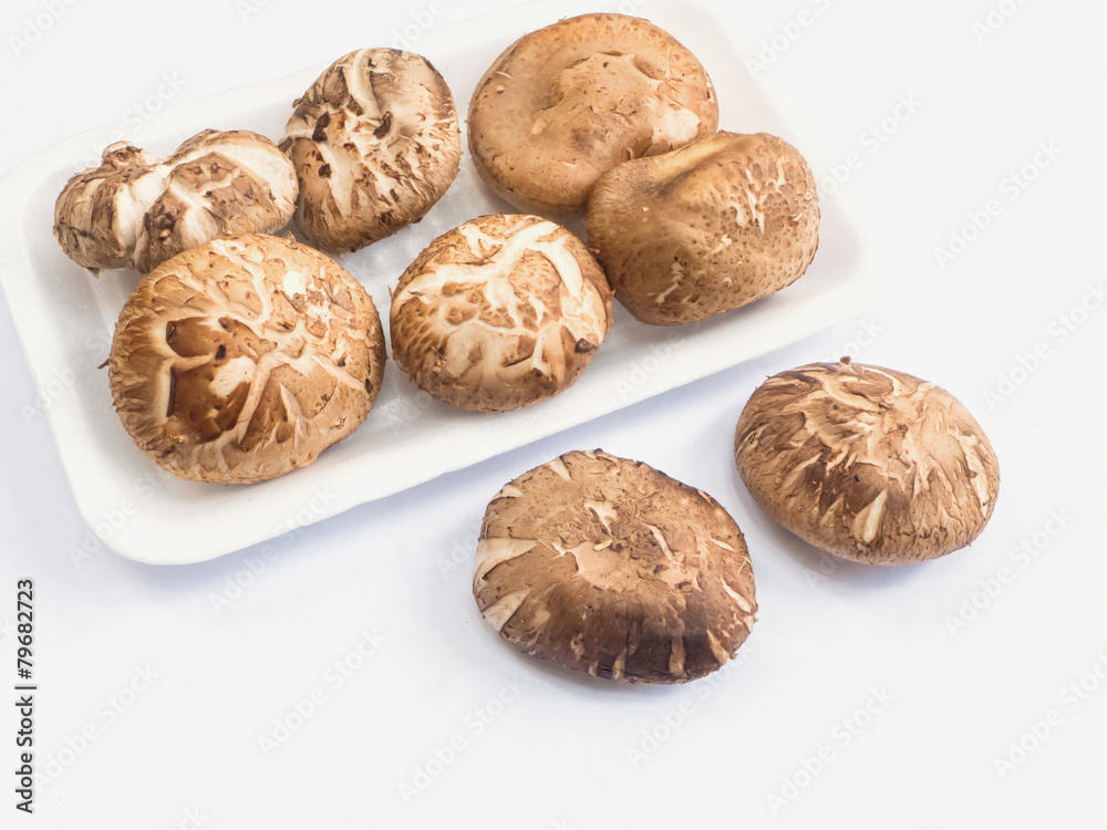 shiitake mushroom