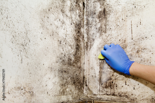 Hand cleans mold in the house photo