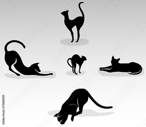 Set of black cats