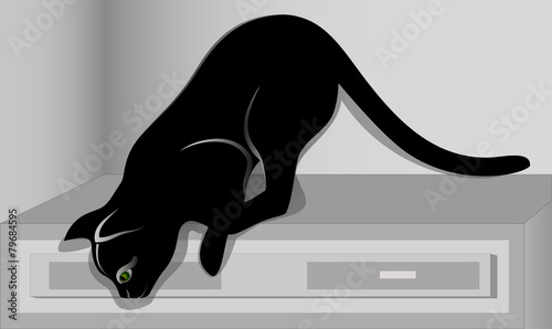 Black cat jumping