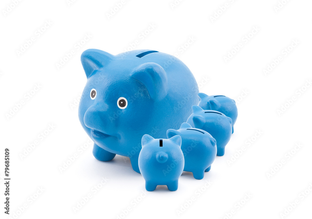 Blue piggy banks feeding from their mother Blue piggy banks feeding from their mother