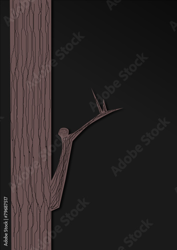 Noche en el bosque 