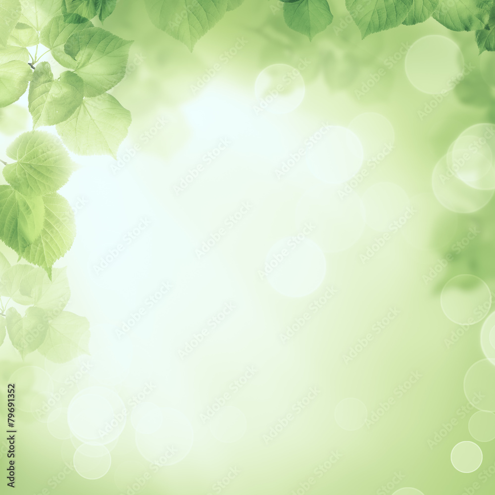 Abstract greenery foliage morning sunlight background Abstract greenery foliage morning sunlight background