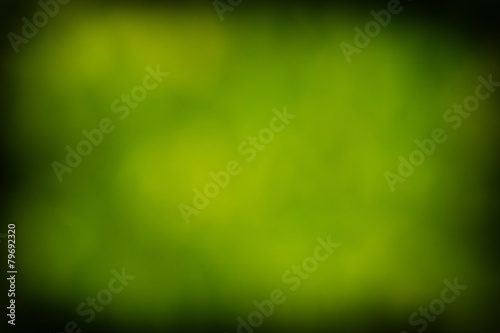 Natural green blured background