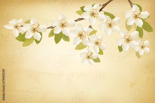 Spring branches with flowers on vintage background. Vector.