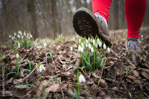 Man treads on flowers in the spring forest, destroying it.