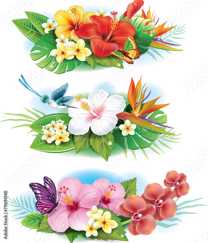 Fototapeta Naklejka Na Ścianę i Meble -  Arrangement from tropical flowers