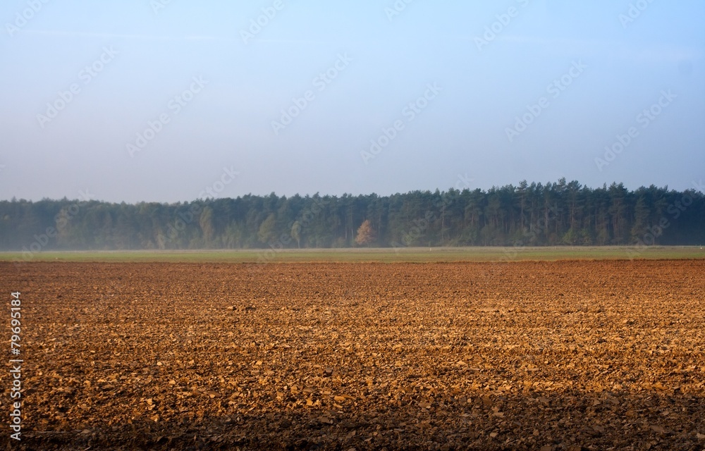 Plowed field landscape Plowed field landscape