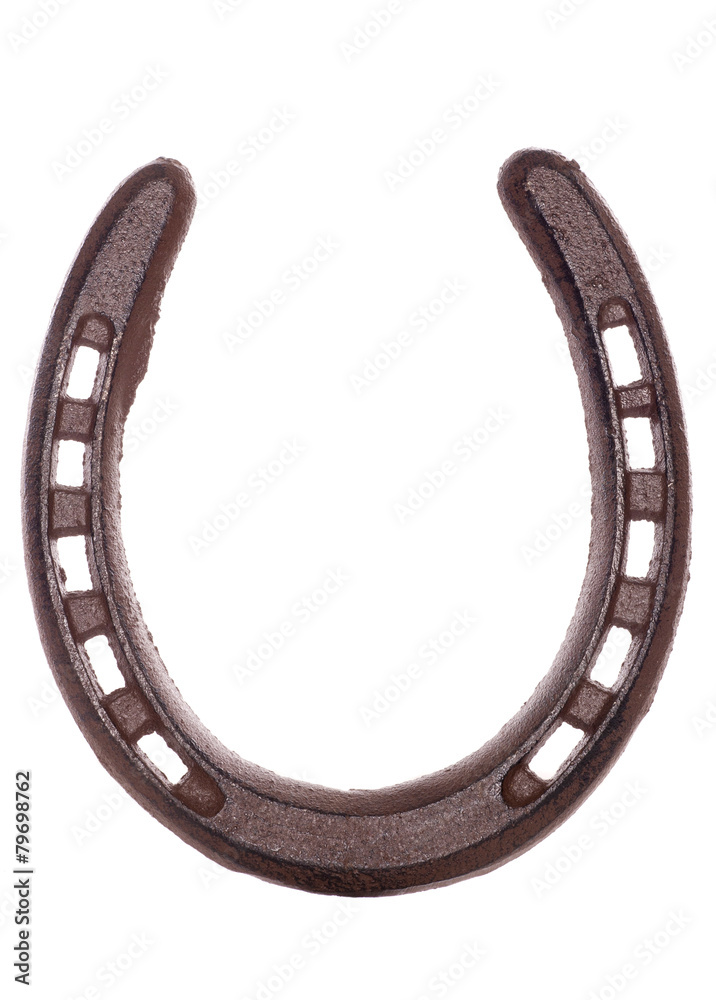 lucky horseshoe
