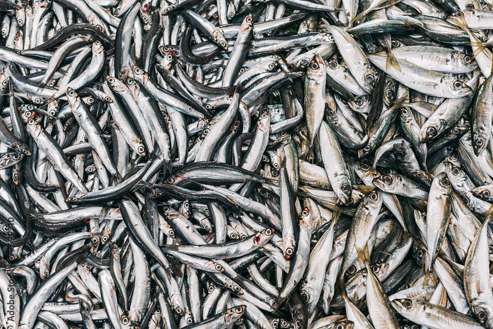 The European anchovy pattern on Istanbul market.