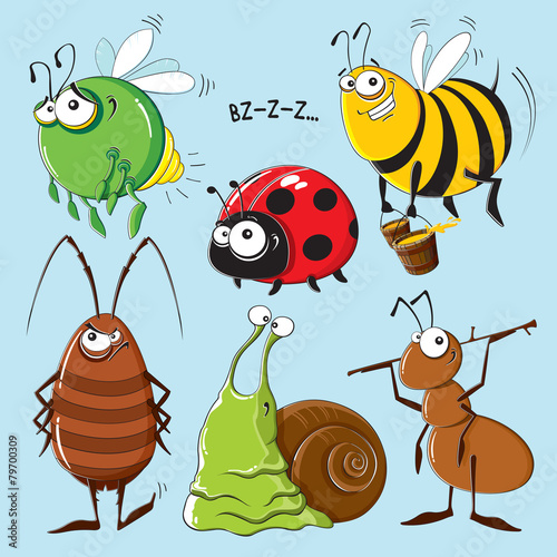 Insects