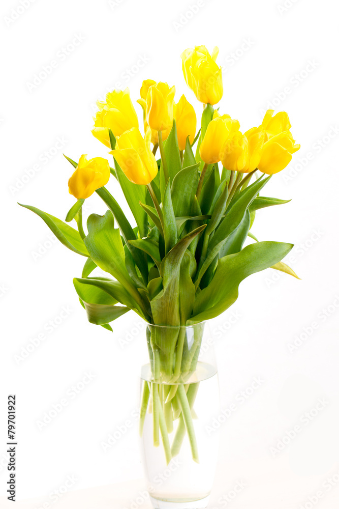 bouquet of tulips on a white background
