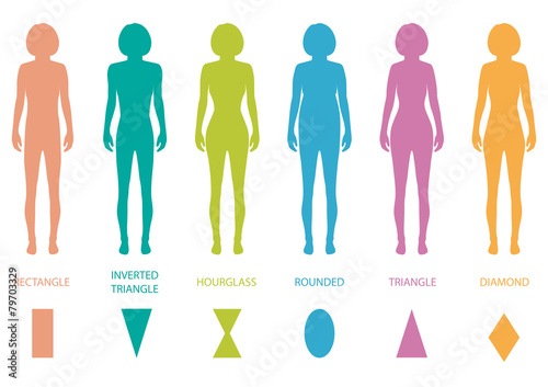 female body types anatomy,woman front figure shape, vector