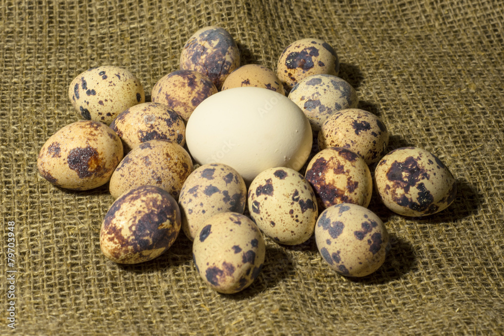 Obraz premium eggs