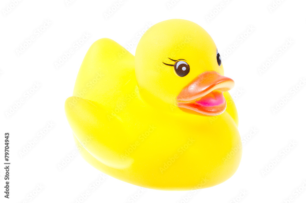 Duck toy Duck toy