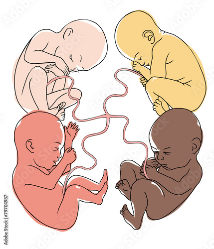 Unity of humanity