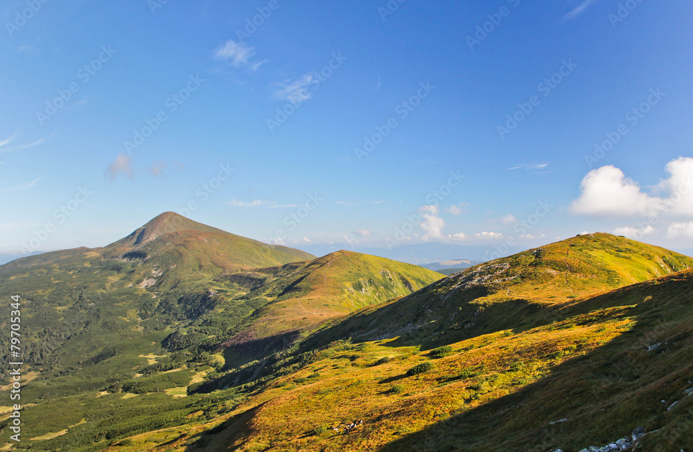 Panoramic view of summer landscape in mountains, yellow and